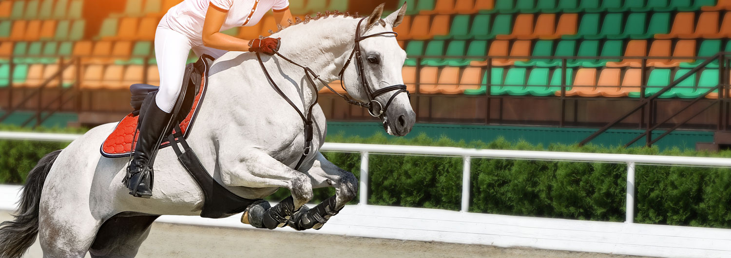 Managers naar succes leiden