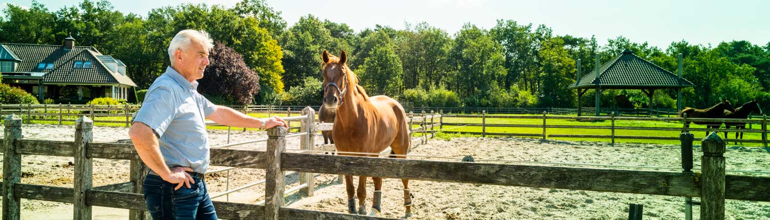 Liefde voor paardensport